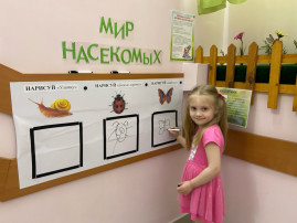 Мир насекомых! Мир насекомых!.